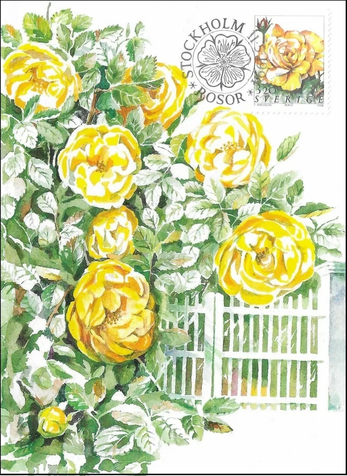Suecia Amarillo Paz Rosas Flores 1994 Tarjeta Máxima Primer Día Cancelar Foto 1 de 1