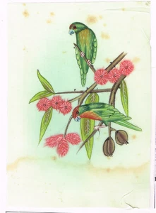 Pintura en miniatura hecha a mano de par de loros pintura sobre tela de seda 4x5,5" - Imagen 1 de 8