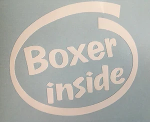 BOXER INSIDE DOG PUP ON BOARD CAR WINDOW STICKER DECAL IN WHITE ALL COLOURS MADE - Picture 1 of 4