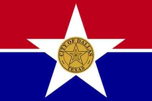Bandera de nailon Dallas City 6'x10' - Imagen 1 de 1