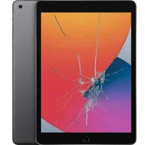 Apple iPad 8th Gen 2020 A2270 A2428 LCD/Cracked Glass Screen Repair Replacement - Picture 1 of 2