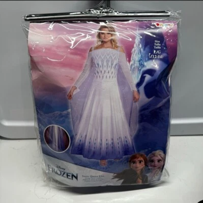 Disney Frozen 2 Snow Queen Elsa Dress Costume Adult Size L (12-14) - Image 1 of 4