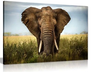 Elephant in Safari Close UP Framed Canvas Print Wall Art Home Decor - Picture 1 of 6