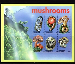 Dominica Mushrooms Pilzen RIF 93 - Picture 1 of 1