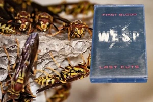 WASP First Blood Last Cuts Cassette Tape RCapitol Records Vintage 1993 - Picture 1 of 4