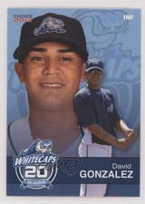 2013 Choice West Michigan Whitecaps David Gonzalez #07