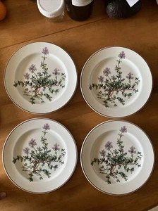 4 Villeroy Botanica Salatteller Thymus 8,25"" TOP - Bild 1 von 14