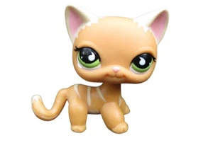 Littlest Pet Shop #525 Sportiest Race About Ranch Orange Stripe Cat Green Eyes - Picture 1 of 4