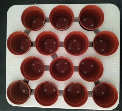 Seedling Pot Tray with Pots  x 4 - Image 1 of 2