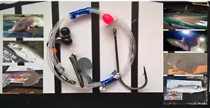 30 x High quality professional Imp Pulley rigs - Clipped shore rigs sz 1 - 2/0 - Picture 1 of 1