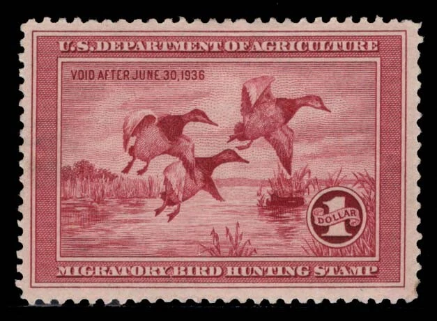 RW2 — 1935 Federal Duck Stamp, hinged - Image 1 of 1