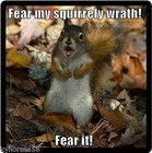 Funny Squirrel Humor Fear My Squirrely Wrath Refrigerator Magnet  