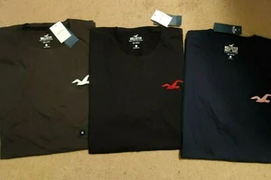 Neu mit Etikett Hollister Logo Crew kurzärmeliges T-Shirt Top 2 Farben M, XL oder XXL - Bild 1 von 5