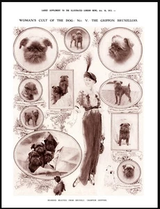 BRUSSELS GRIFFON ELEGANT LADY NAMED DOGS VINTAGE STYLE A4 DOG ART PRINT POSTER - Picture 1 of 1