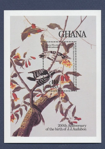 GHANA - Scott 984 - MNH S/S - Audubon Birds - 1984 Cover