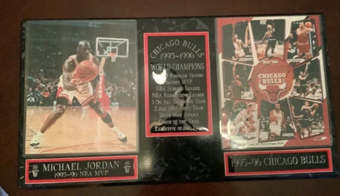 Chicago Bulls 1995-96 World Champions Plaque 24”x13” Cover