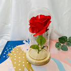 Rose in Glass Dome Eternal Forever Flower LED Night Light Valentine Wedding Gift
