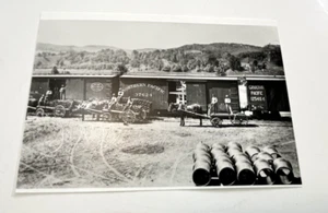 Antique Railroad Photo Railway Train Scene Workers MN Northern Canadian Pacific - Picture 1 of 6
