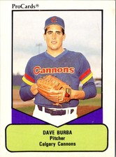 1990 ProCards AAA Dave Burba #110 Calgary Cannons Baseball Card