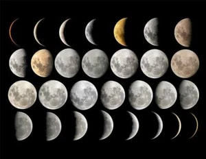 EVERY PHASE OF THE MOON GLOSSY POSTER PICTURE PHOTO full crescent lunar 2050 - Picture 1 of 1