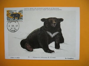 Card Maximum Korea - Carte Maximum Corée - Bear - Ours à collier - Picture 1 of 1