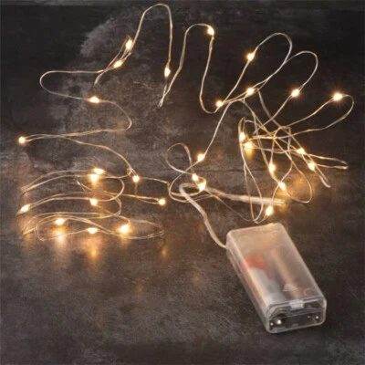 20 LED Fairy String Lights Copper Wire Lights Battery Operated Xmas Decor - Image 1 of 4