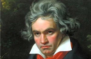 LUDWIG VON BEETHOVEN - REFRIGERATOR PHOTO MAGNET 3"X5" - Picture 1 of 3