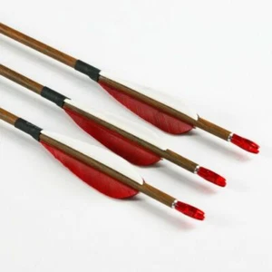 3Pcs 30" Spine 700 Compound bow Arrows Pure Carbon Archery  Target Practice - Picture 1 of 12