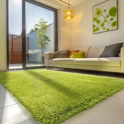 柔软毛绒小地毯-大型防滑地毯客厅和卧室 — 第 1/4 张图片