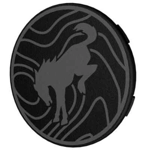 Topographic Bronco Fifteen52 HD 107mm Center Caps | Custom Ford Bronco Acc. - Picture 1 of 6