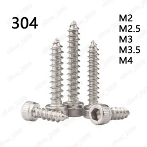 304 Acero Inoxidable Hexagonal Zócalo Tapa Doblada Cabeza Hoja de Metal Tornillos M2 M2.5 M3 M4 - Imagen 1 de 5