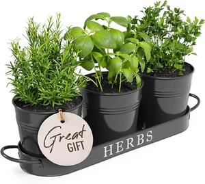 Indoor Herb Garden Planter Set with Tray, Metal Windowsill Plant Pots with Drain - Picture 1 of 12