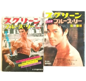 Bruce Lee SCREEN Special Issue 1974 Vintage Magazine Kung Fu August with Pinup - Picture 1 of 20