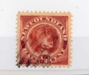 NEWFOUNDLAND - TERRANOVA - 1887 - Serie corrente ½ c. Cane - Imagen 1 de 1
