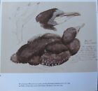 Piękny vintage tunikowy nadruk ptaków ~ kormoranowy domek lęgowy
