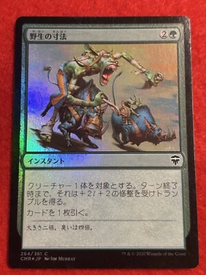 Wildsize Commander Legends Foil Japanese MTG - Image 1 of 4