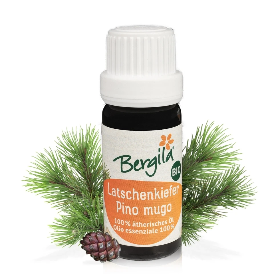 Latschenkiefer (pinus mughus) - ätherisches Öl bio 10 ml. - Bergila