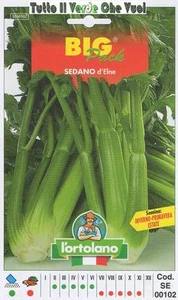 Apio D' Elne Big Paquete - Semillas Horticultura - Imagen 1 de 1