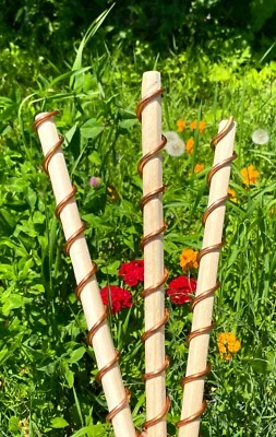 Paquete de 5 bobinas de electrocultivo de cobre y cedro - antenas de jardín para plantas mejoradas Foto 1 de 3