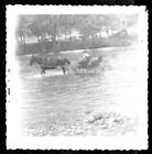 Vintage Photo MAN DRIVES HORSE AND BUGGY THROUGH FLOODING WATERS 1961