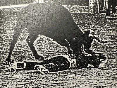 1997 METRIC CHEESE HEAD TAKE THAT! DEMO HARDCORE PUNK CASSETTE RARE - Image 1 of 4