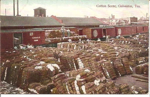 POSTAL GALVESTON TX, ALGODÓN RR ESCENA - Imagen 1 de 1