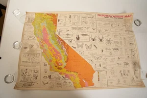 California Wild Life Map Insects Sea Life Arachnids (PSTR-Y19) Poster Beetles - Picture 1 of 14