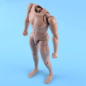 1/6 Corps des hommes Men's Body Figures masculines pour 12" Modèle Jouet zo - Picture 1 of 2