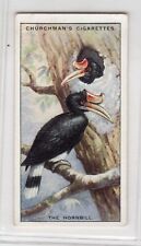 Nature’s Architects Card 1930 #13 The Hornbill 