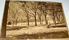 Rare Antique Victorian Mom & Baby Carriage Frog Pond Boston Common Cabinet Photo