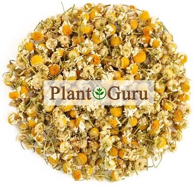 Chamomile Flowers Whole Organic Matricaria Chamomilla Loose Leaf Tea Bulk - Image 1 of 4