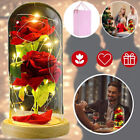 Forever Rose in Glass Dome Enchanted Rose LED Eternal Flower Valentines Day Gift