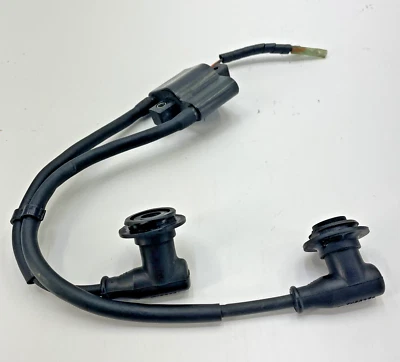 BOBINA DE IGNIÇÃO 03-20 MC Z BEARCAT LYNX 570 GATO ÁRTICO 3006-534 - Imagem 1 de 4