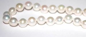 14 Carat or Catch 5.6mm Bracelet Perle 7.5 " Blanc Très Nice Luster - Picture 1 of 4